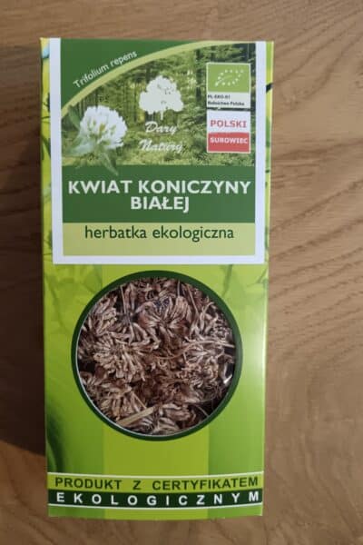 Kwiat koniczyny białej